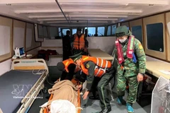 迅速将突发中风的外国游客送岸就医。图自越通社