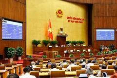 国会通过了《数字技术产业法》。图自越通社