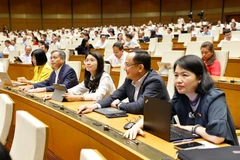 国会代表按钮表决通过《特别消费税法》（修正案）和《企业所得税法》（修正案）。图自月统摄