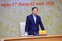 越南政府副总理——打击非法、不报告和不受管制（IUU）捕捞国家指导委员会主任陈红河发表讲话。图自越通社
