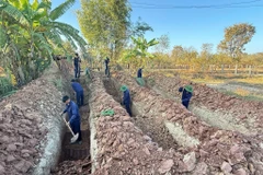 广义省K53队在老挝和柬埔寨发现4具烈士遗骸。图自越通社