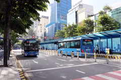 胡志明市公布自7月1日起134条免费公交线路。图自越通社