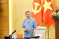 越共中央总书记、国家主席、越共中央政治局和中央书记处第十号检查监督团团长苏林发表讲话。图自越通社