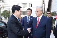 越南国家主席梁强会见埃及众议院议长哈纳菲·贾巴利。图自越通社