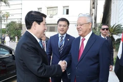 越南国家主席梁强会见埃及众议院议长哈纳菲·贾巴利。图自越通社