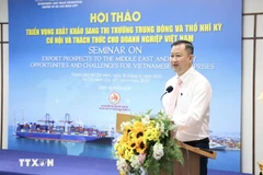 胡志明市贸易与投资促进中心主任陈富旅在研讨会上发表讲话。图自越通社