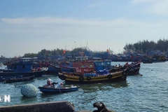 胡志明市所有符合条件的渔船均已获许可。图自越通社