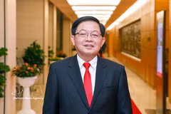 政府副总理胡国勇担任中央指导委员会主任。图自越通社