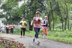 参加菊芳丛林小径(Cúc Phương Jungle Paths)跑步竞赛的运动员。图自越通社