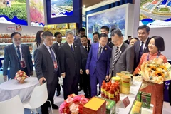 越南政府副总理陈红河参观越南商品展位。图自越通社