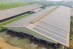 TH true MILK奶牛养殖场的屋顶已全面铺设太阳能电池板。