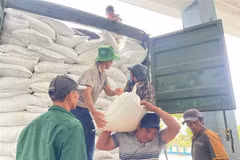 救济大米被运往遭受洪水严重影响的地区。图自越通社