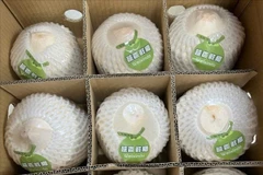 近22吨越南新鲜椰子通过北仑二号口岸出口中国市场。图自越通社