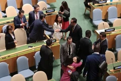 越南成功连任2026-2028任期联合国人权理事会成员