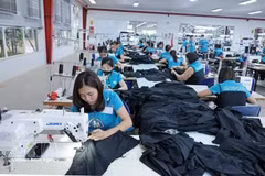 工人队伍建设成为提升竞争力并迈向可持续发展目标的重要“钥匙”。图自越通社