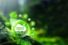 越南许多地方都拥有巨大的碳信用额利用潜力。图自互联网
