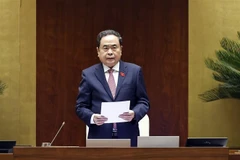 国会主席陈青敏发表讲话。图自越通社