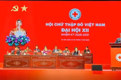 大会主席团。图自Vietnam+