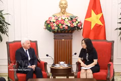 越南外交部副部长黎氏秋姮会见爱尔兰驻越大使法林。图自越通社