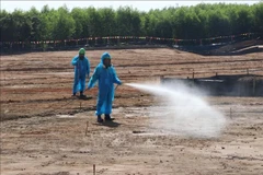 越南与比利时携手共建无二恶英遗留的清洁环境。图自越通社