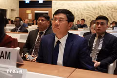 越南国家审计署副审计长尹英诗率团出席东盟最高审计机关组织（ASEANSAI）第八次大会。图自越通社