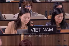 越南常驻联合国教科文组织代表团团长阮氏云英大使在会上发表讲话。图自越通社
