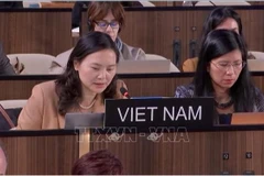 越南常驻联合国教科文组织代表团团长阮氏云英大使在会上发表讲话。图自越通社