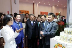 陈红河副总理参观越南展位。图自越通社