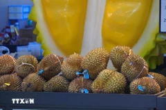 广西口岸首次从越南进口冷冻榴莲产品。图自越通社