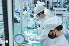 土地税收双突破：越南新法为数字技术产业注入强劲动力