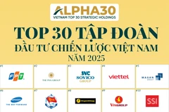 越南ALPHA30战略投资集团排行榜出炉。图自thuehaiquan.tapchikinhtetaichinh.vn