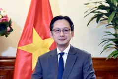 越南外交部副部长、东盟高官会（SOM ASEAN）越南代表团团长杜雄越。图自越通社