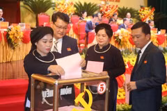 越共高平省第20次党代会隆重举行