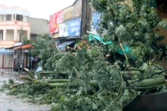 越南北部和中部地区将有大雨 海上可能出现龙卷风
