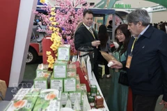 国际游客参观春季博览会。图自越通社