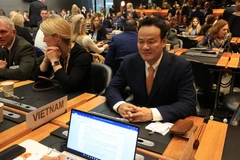 越南常驻日内瓦代表团团长梅潘勇大使。图自越通社