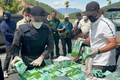 侦破QB525专案后，当局缴获各类毒品295.5公斤。图自边防部队