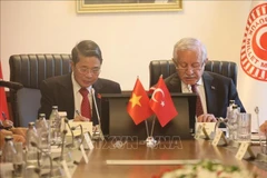 越共中央委员、国会副主席阮德海与土耳其国会副议长切拉尔·阿丹举行会谈。图自越通社