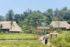 越南各民族文化旅游村的芒族村落深受当地居民和游客的喜爱。图自越通社