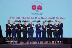 越日文化节开幕式。图自越通社