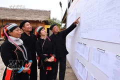 选民可以查看公开张贴的候选人名单。图自越通社