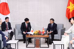 越南外交部常务副部长阮明羽会见日本外务大臣政务官、众议院议员岛田智明。图自越通社