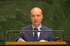 越南常驻联合国代表团副团长阮黄原公使。图自越通社