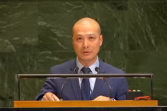 越南常驻联合国代表团副团长阮黄原公使。图自越通社