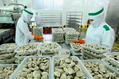中国跃升为越南贝类产品最大进口市场