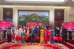 2026丙午马年春节：家乡之春凝聚越南侨胞情感的纽带