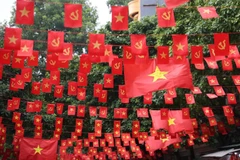 附图 图自Vietnam+