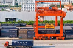 准备发往越南的集装箱在南宁国际铁路港集结。图自越通社