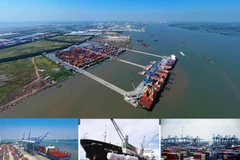 以向海发展指导省市合并是连接、融合、推动国家发展的重要前提。图自越南之声