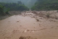 7月31日夜间至8月1日凌晨持续性的强降雨导致奠边省多地发生山洪和山体滑坡。图自越通社
